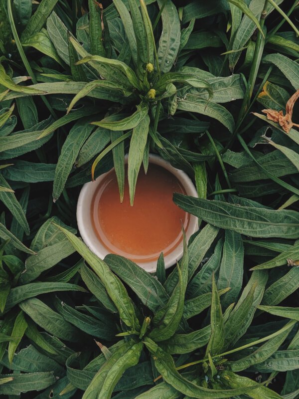 Can Specialty Tea Help With Relaxation And Stress Relief?